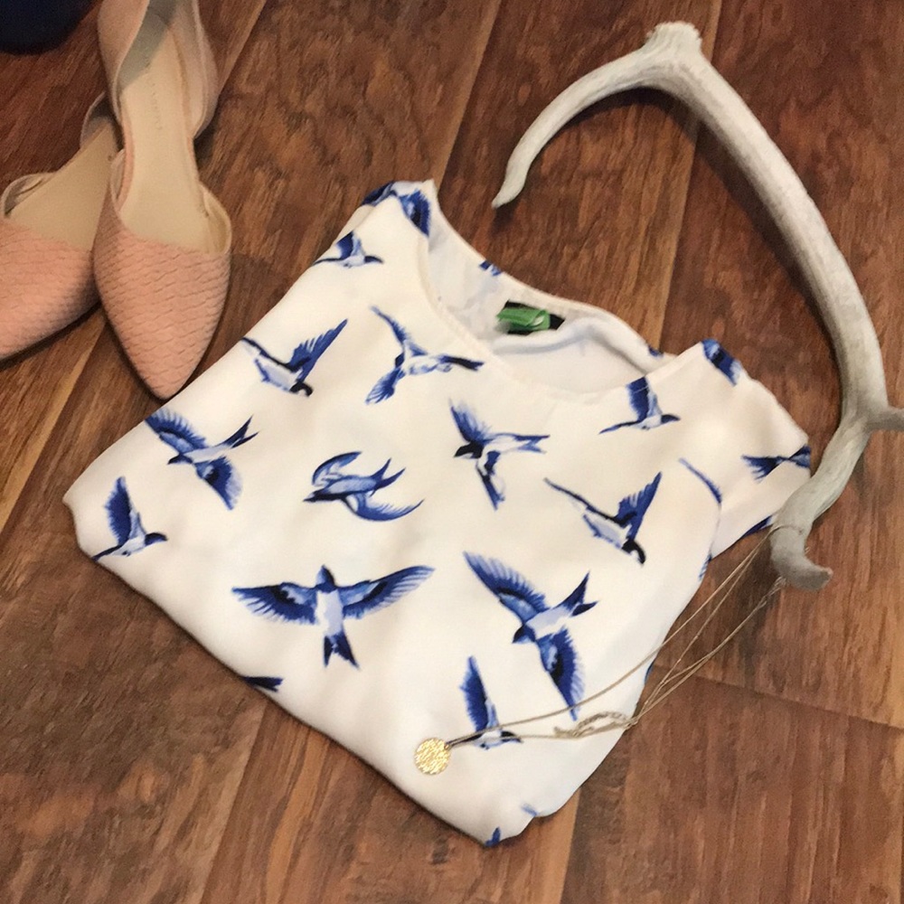 Bluebird blouse